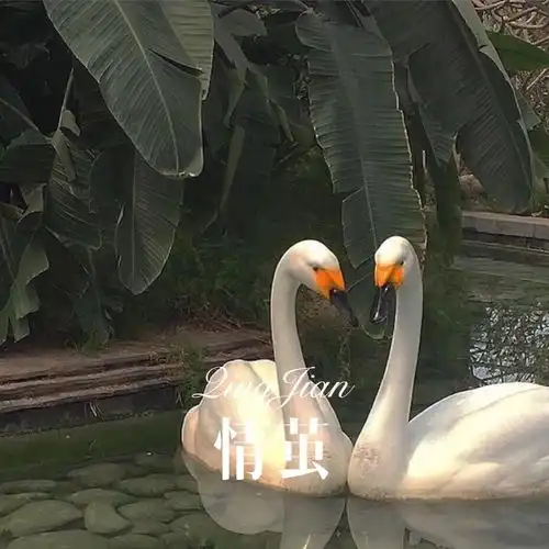 想过离开以这种方式存在remix小姐姐高音质在线试听想过离开以这种方式存在remix歌词歌曲下载酷狗音乐
