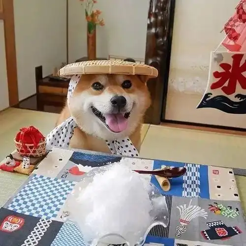 头像一分手就懂很多道理一恋爱就吃亏
