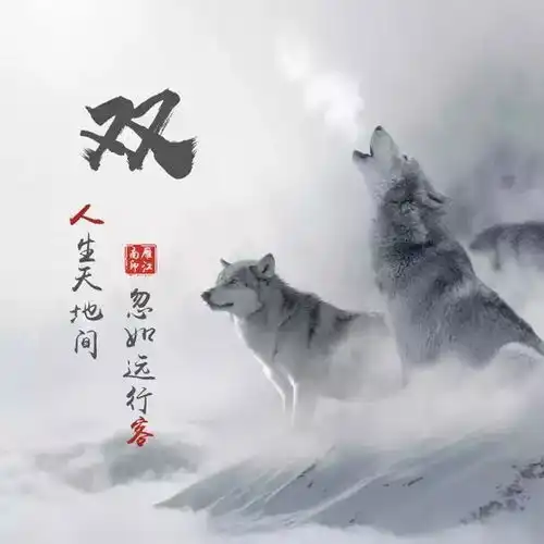 您该换换头像了,8款50多张微信头像姓名头像手机锁屏壁纸
