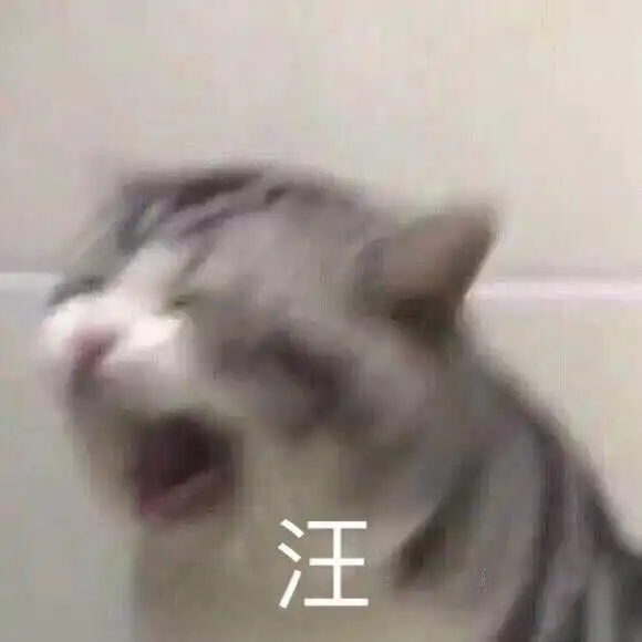 有哪些沙雕搞笑的头像

