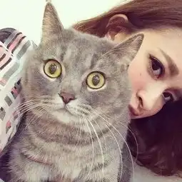 最后17天如何备考最高效
