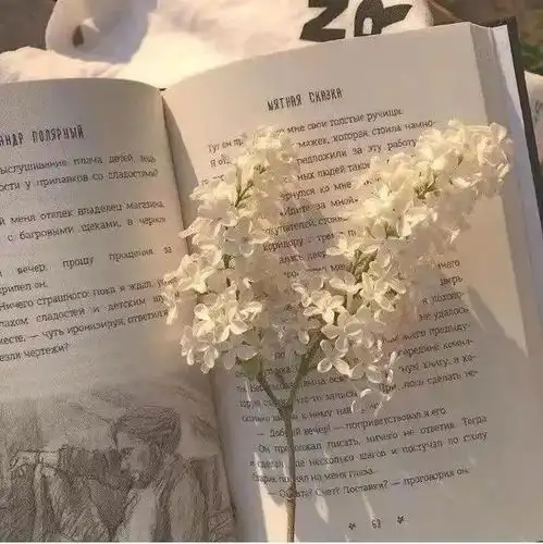 近日摘抄的文案
