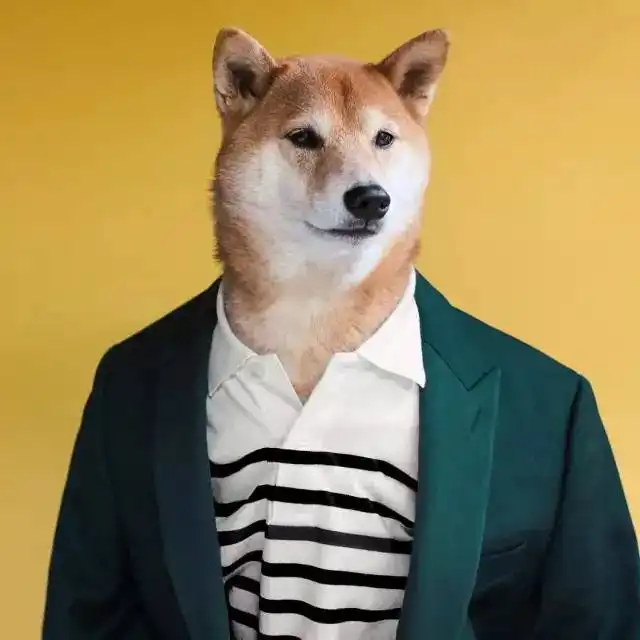 为什么说养宠物有助于设计师寻找灵感
