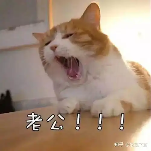 最新头像高逼格
