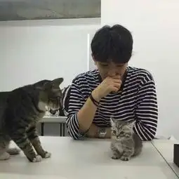 帅气男神优质头像精选
