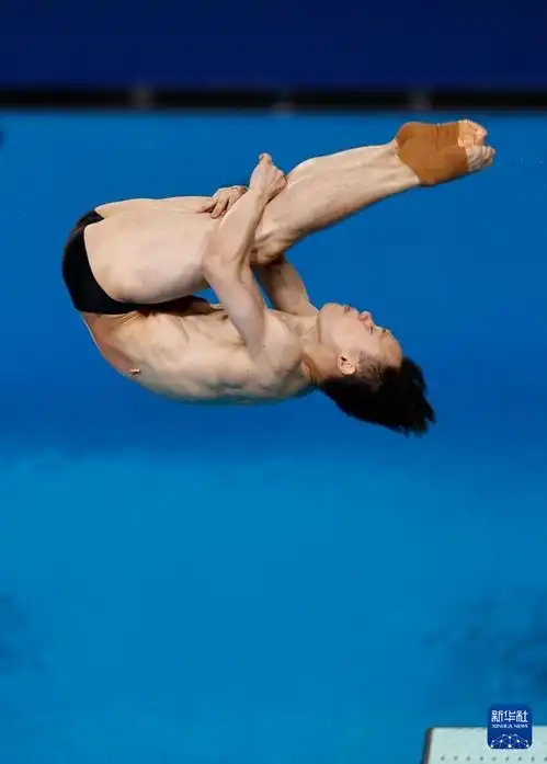 巴黎奥运会跳水男子3米板决赛谢思埸王宗源包揽金银牌
