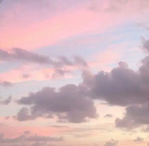 3生肖绝对不会为爱卑微,即使爱的再深,也不会没有底线
