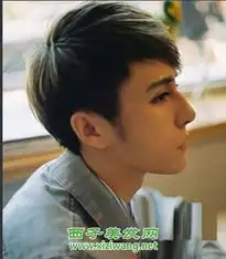 最新个性男发型图片5
