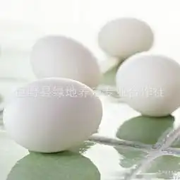 山东蛋白蛋白价格报价蛋白品牌厂家
