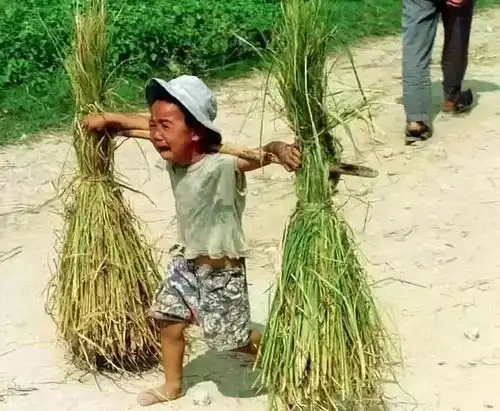 七八十年代农村的小孩,干着本不是自己这个年龄所干的事,吃着本不是这个年龄所吃的苦,看哭了一个又一个人你也来看看孩子
