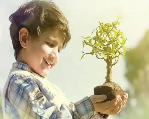 凤凰男跪求妻子回家,妻子补20万,要不然免谈
