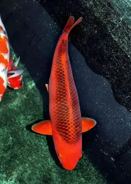 今天是男人节,送给天下辛苦的男人,祝他幸福平安快打开看看
