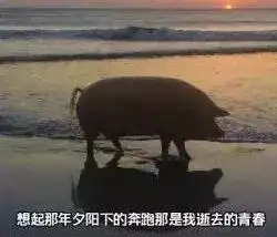 大方承认整容追求美丽,曾满足无数粉丝少女心的她结婚了
