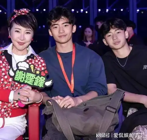 王菲现身日本机场,谢霆锋化身小跟班,背两个包男友力十足
