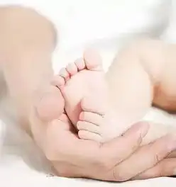 中国大陆首例种植窗移植第三代试管婴儿在十堰诞生
