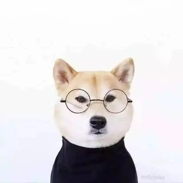 搜狐公众平台谁说单身汉不懂生活的烟火味,他把地中海的自由随性都装进了家
