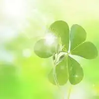 阳光向上风景自然头像充满正能量的风景头像
