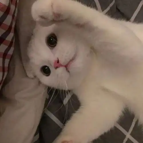 头像故事开头总是这样适逢其会猝不及防
