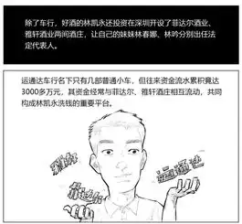 缉毒大案漫画毒冰冰毒教父覆灭记五
