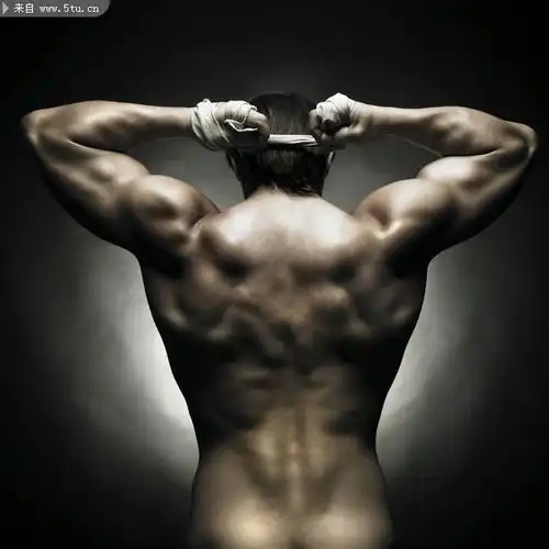 肌肉展示图片人物背影图片
