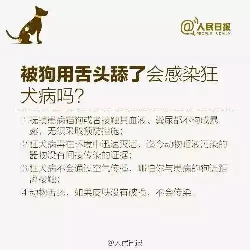 恶犬连咬4人6岁男童治疗出院后病情复发身亡
