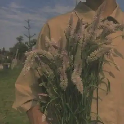 拿花男头,无人问津的巷口总是开男生头像我要个性网
