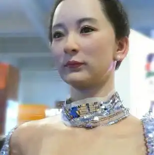 美女机器人简介美女机器人详细信息
