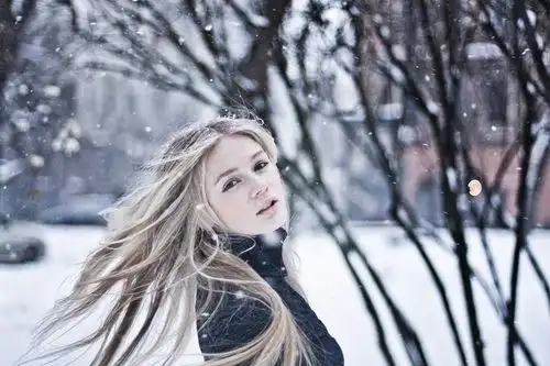 雪景雅韵唯美小窝空间素材图片迷醉了风月,也渲染了浪漫的季节
