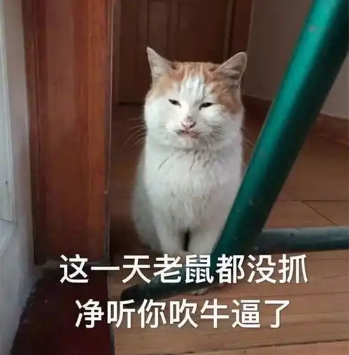 99的渣男必用社交头像,你们的男友中枪了吗
