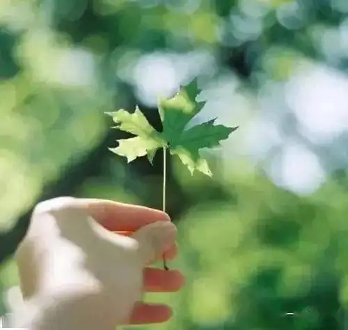 珍惜你自己的人生
