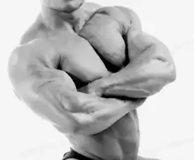 肌肉男士png图片素材免费下载png格式熊猫办公
