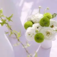 头像唯美小清新风景微信头像图片大全
