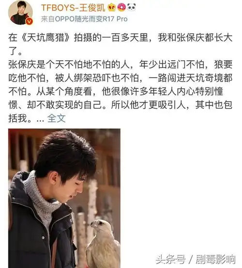天下霸唱加持,王俊凯主演,天坑鹰猎能否成下一个口碑佳作

