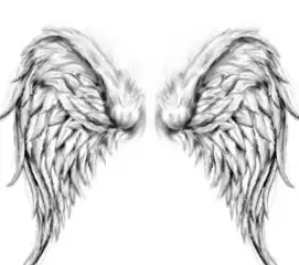 十二星座专属梦幻翅膀,水瓶座冰蓝羽翼,双鱼座美的移不开眼
