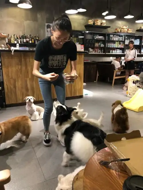 王思聪抱美女现身迪士尼,他隔空穿情侣装,这波恩爱秀的高明