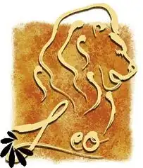 元宵不适合外出的星座狮子座双子座射手座
