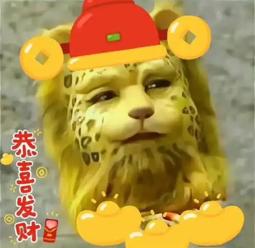 热门金钱豹合集
