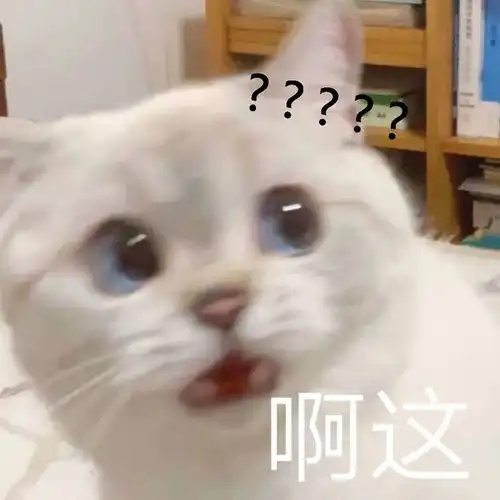 波兰把猫列为入侵物种猫
