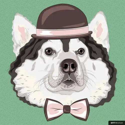哈士奇礼帽领结动物头像插画狗狗猫咪萌宠动物
