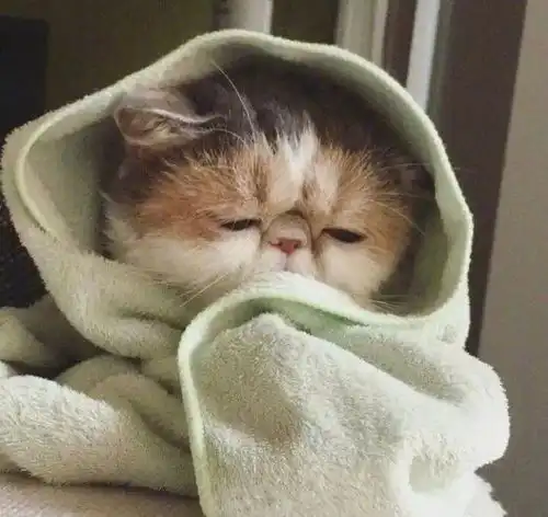 是不是每天睡也睡不醒的你
