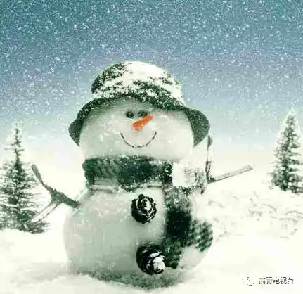 高青下雪了淄博这场雪哪里下的最大
