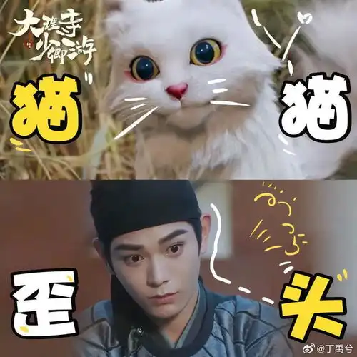 发现了一些猫系男主的致命吸引力
