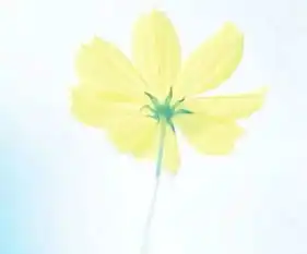 网易云热评伤感句子尝尽悲欢离合人间苦,却怎么咫尺天涯陌路
