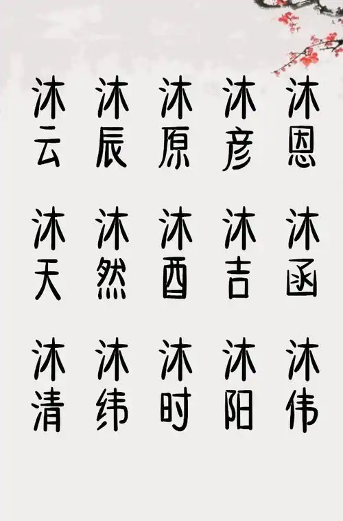 带沐字的阳光男孩名字贾师傅起名改名
