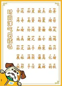 时尚洋气的男孩名字,取个好名幸福一生

