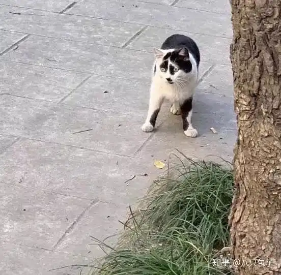 美容导师这个工作怎么样呢有没有做相关工作的来帮解答一下,薪资高吗工作自由吗
