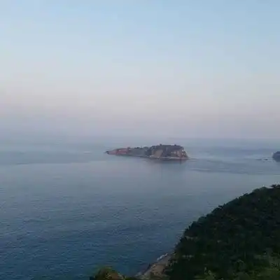 中老年人头像风景和花老年人专用微信头像
