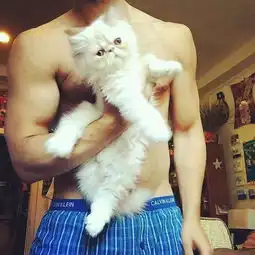歪国型男与萌猫也是配一脸
