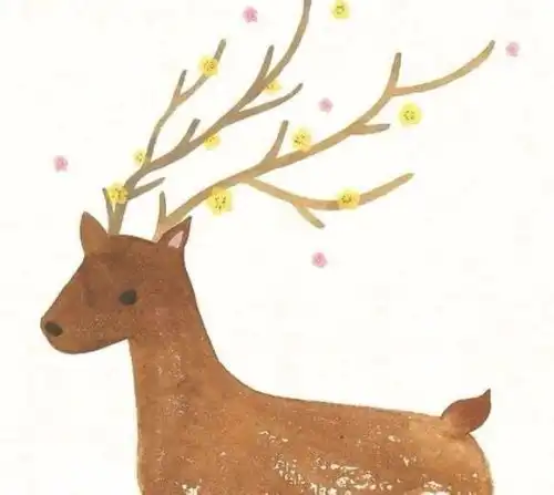 谁有好看的鹿的图片
