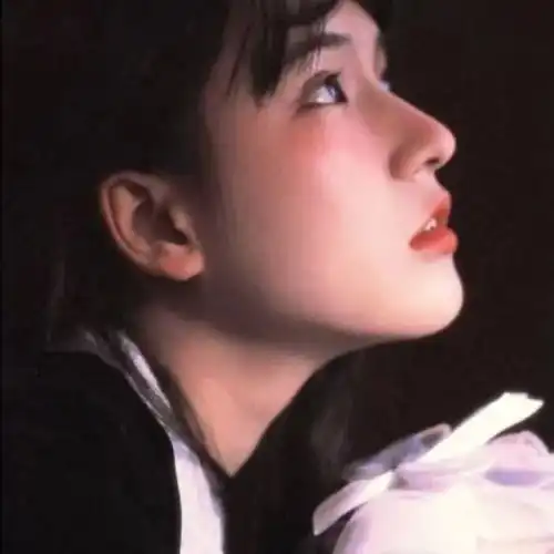 杂系头像何其有幸年岁并进
